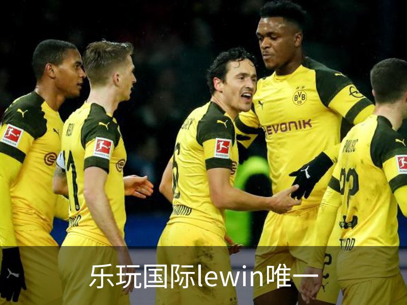 乐玩国际lewin唯一简介